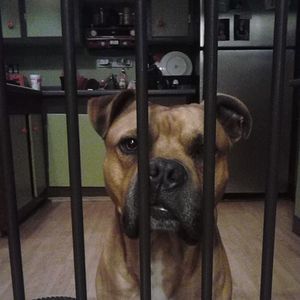 Meet your Posher, Kevin